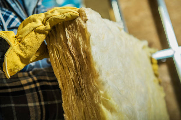 Best Cellulose Insulation in Statesboro, GA