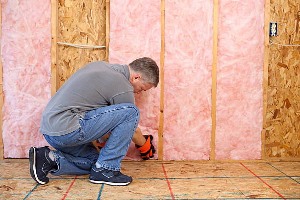 Best Eco-Friendly Insulation in Statesboro, GA